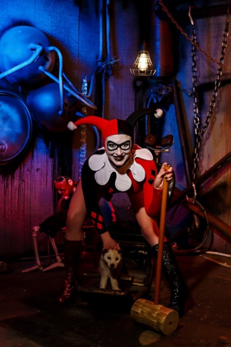 Harley Quinn beste sexy fotos